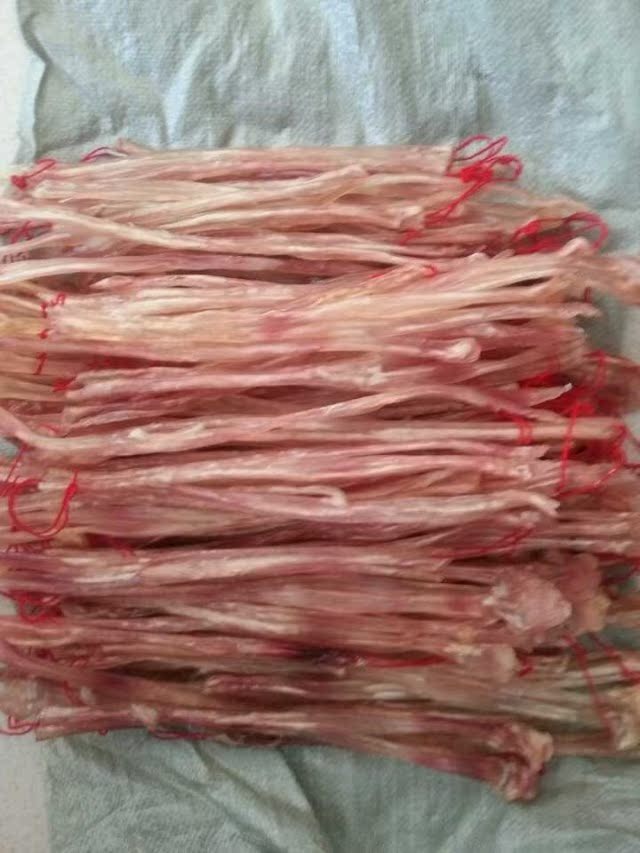 恒麒麟鹿场 优质梅花鹿筋干  新鲜鹿筋 保真