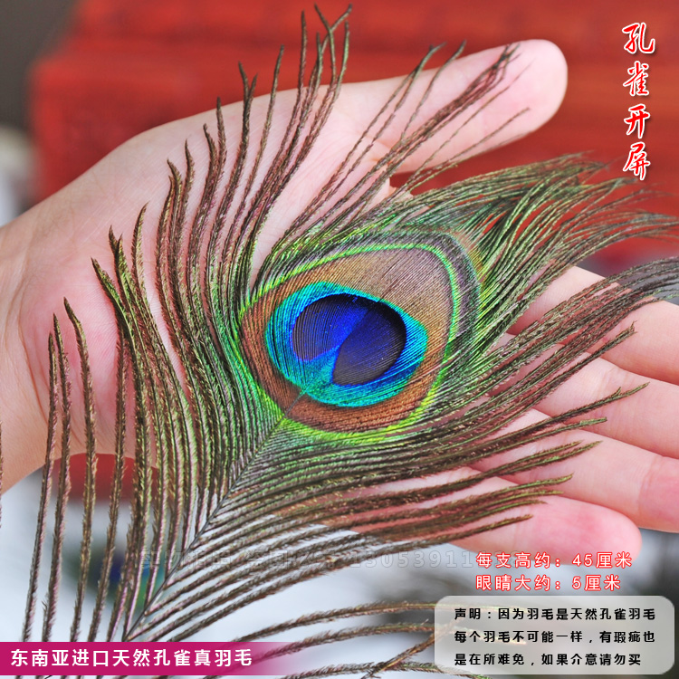 欧式孔雀花瓶孔雀羽毛创意装饰品摆件田园麻绳花插客厅家居装饰品