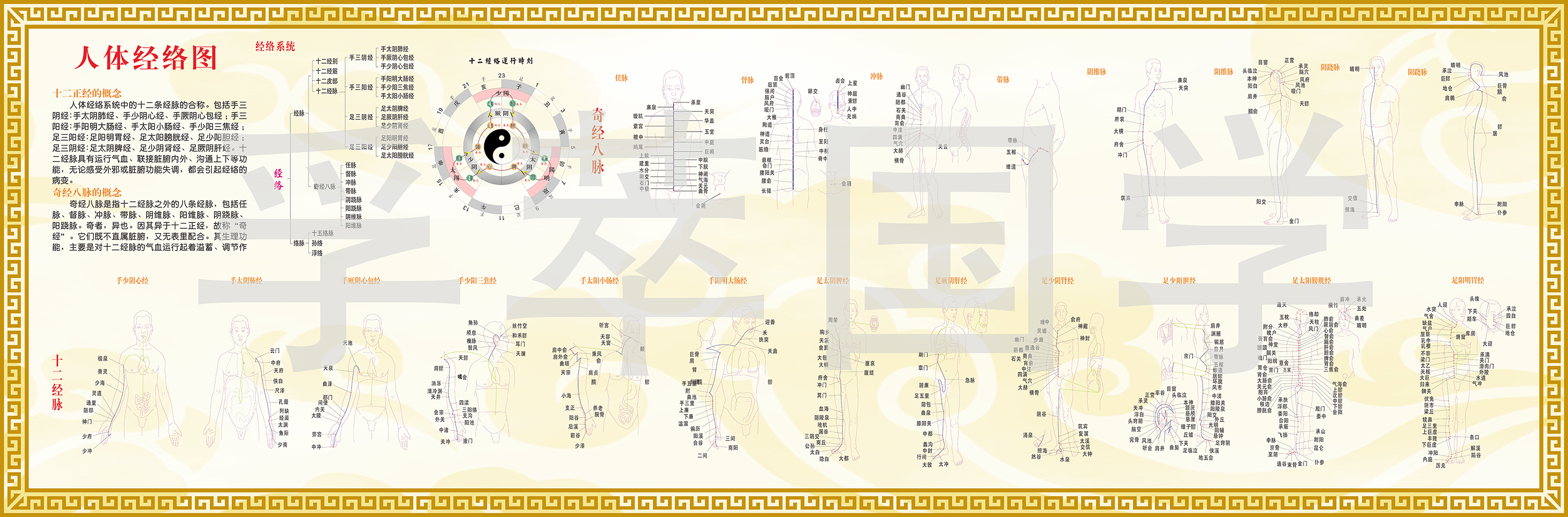 防水新款人体经络全图十二经络现代装饰画奇经八脉易经中医五行