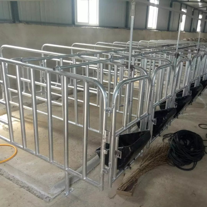 云南养猪设备 bmc复合漏粪板 母猪定位栏 限位栏 育肥