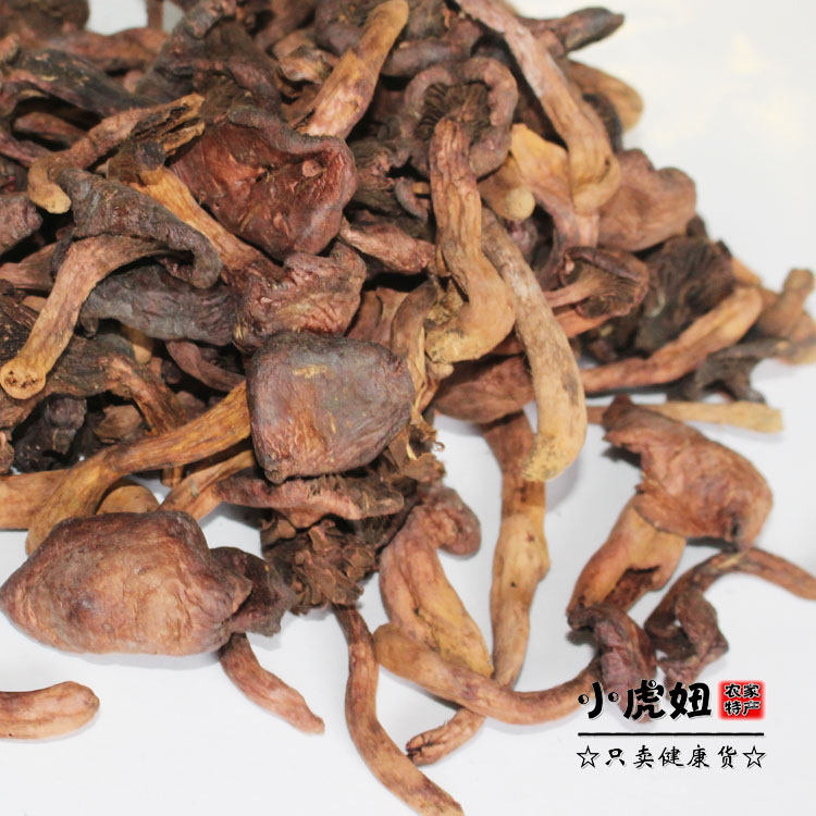松树伞东北红蘑野生蘑菇松蘑原生态长白山特产纯天然干货红肉蘑菇