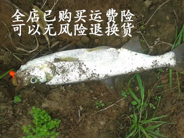 yoofish路亚软虫饵翘嘴大口鲶塘虱青红梢叉尾黑头鱼袋装单卷尾蛆