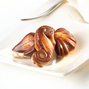 吉利莲金贝壳巧克力礼盒 250g