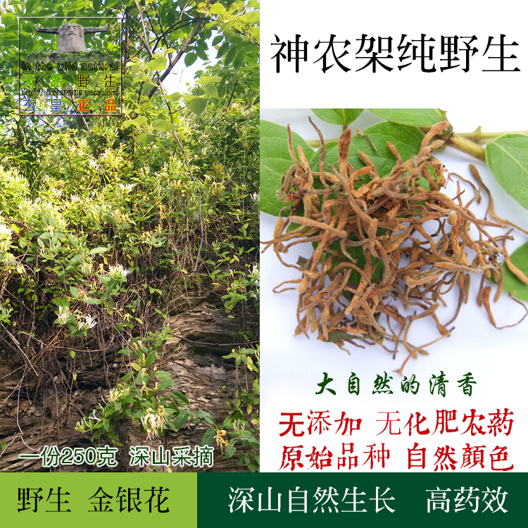 神农架 纯野生金银花正品好货清热去火泡茶手工挑选无硫 2份包邮