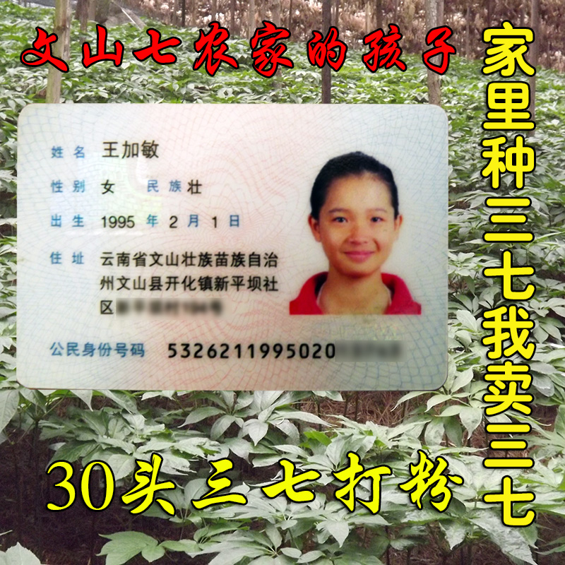 【拍5赠送1】云南文山正宗原色水洗30头三七粉\田七粉100G