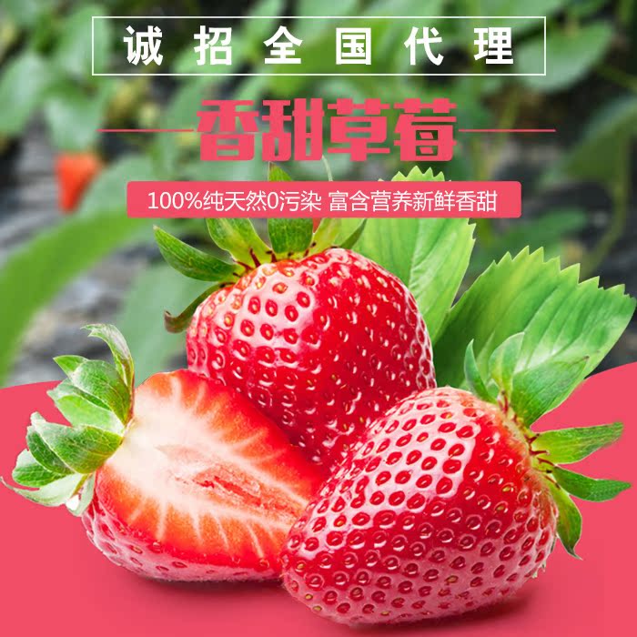 丹东东港马家岗草莓九九草莓红颜草莓牛奶草莓3斤全国