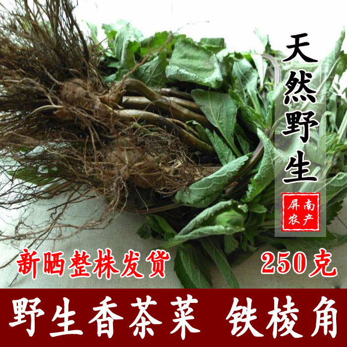 天然野生药材 野生 香茶菜根 溪黄草根 铁菱角 铁棱角三七 铁钉角