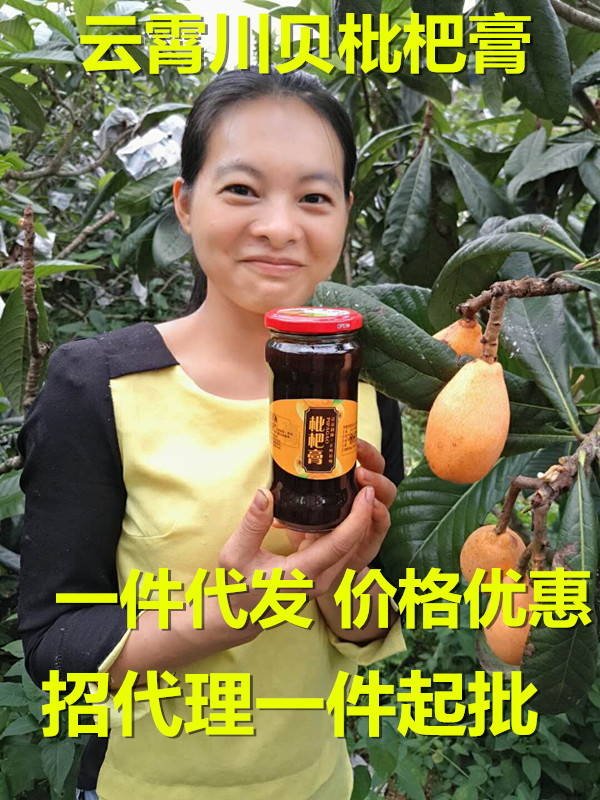 云霄川贝枇杷膏农家特产自制儿童孕妇价