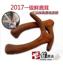 鹿茸片 新鲜鹿茸2017刚割梅花鹿茸头茬二杠2.4元 整枝 鲜鹿茸