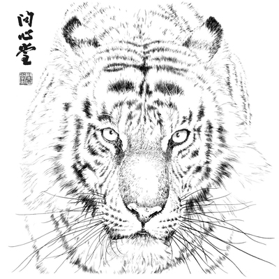 【问心堂】工笔猛虎画法18幅白描底稿铺在宣纸下画工笔虎临摹透稿