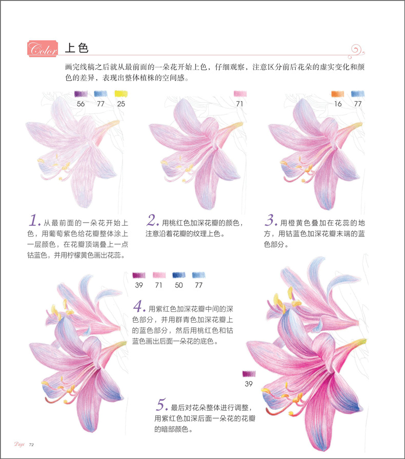 花之绘3(Ⅲ 38种花的自然之美) 飞乐鸟 绘画教程技法入门书籍 零基础