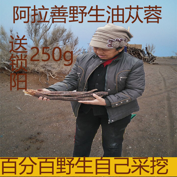 苁蓉 内蒙古阿拉善野生纯天然肉苁蓉 泡酒茶油苁蓉买就送一份锁阳