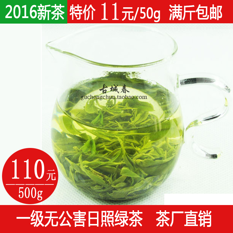 日照绿茶2016新茶春茶秋茶板栗香型一级雪青50克散装特价直销包邮