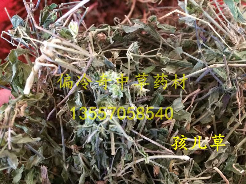 偏冷奇中草药 孩儿草 黄蜂草 土夏枯草 蟑螂草 500克