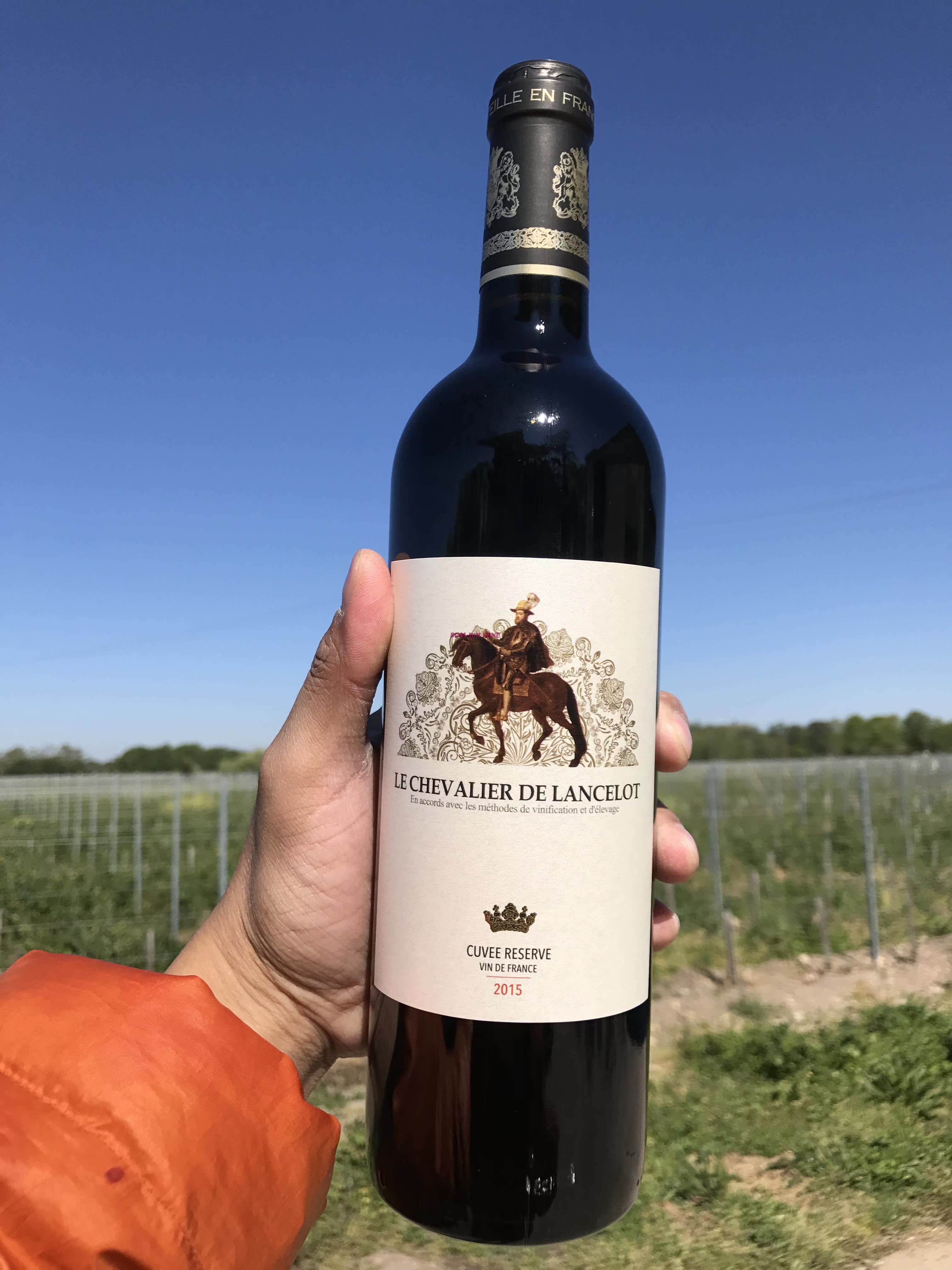 卡诗图骑士红酒整箱装法国进口葡萄酒 干红葡萄酒12支整箱装
