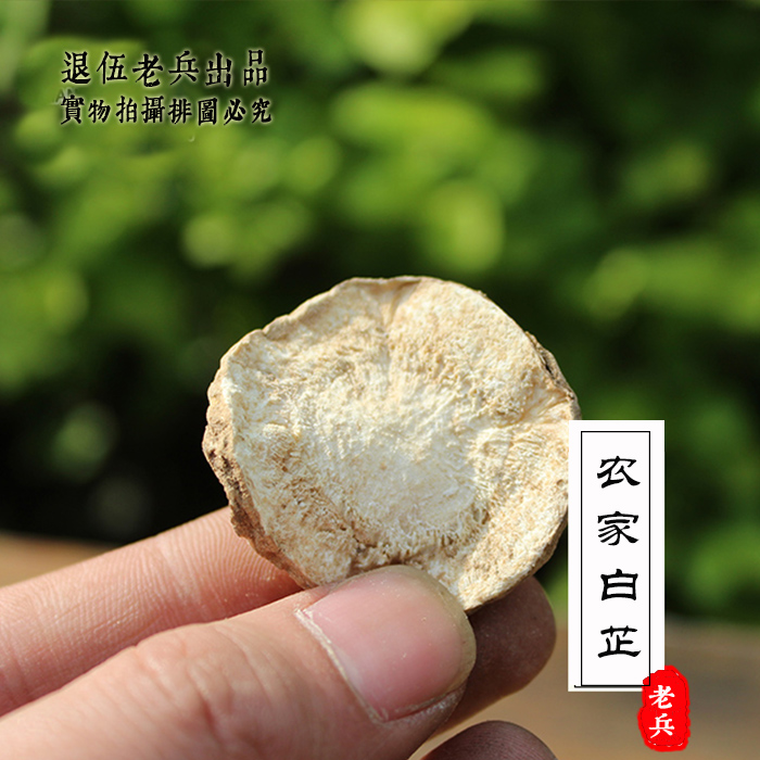 农家白芷 免费磨粉 250g 美白 可配 白术 白芍 茯苓一起做面膜
