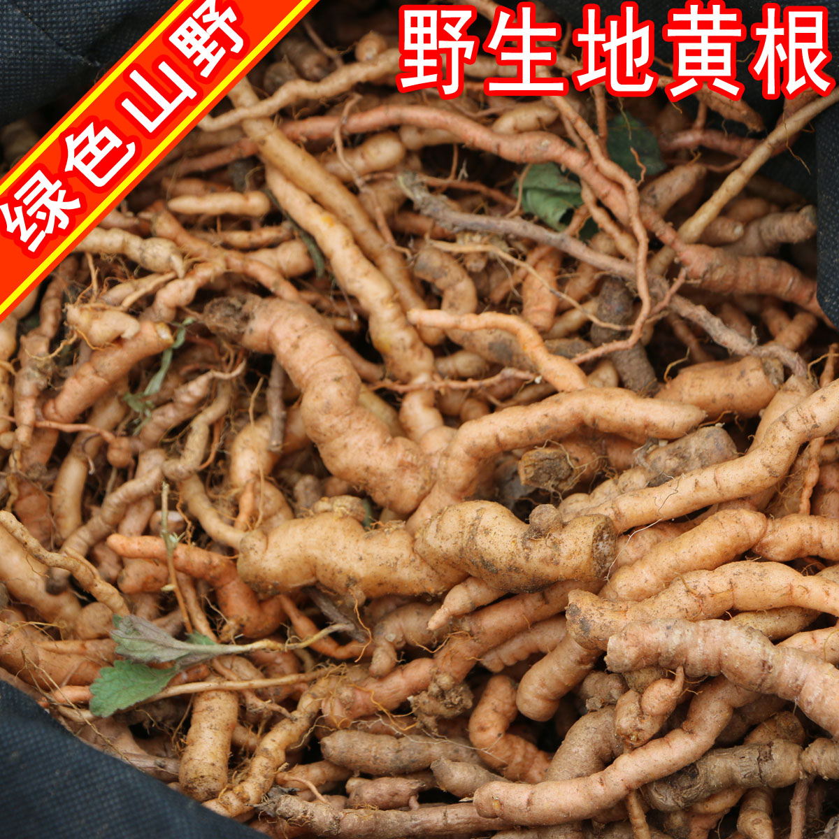 农家新鲜生地黄 根 特产 野生 假一赔十 热卖 500g 2件包邮 限时