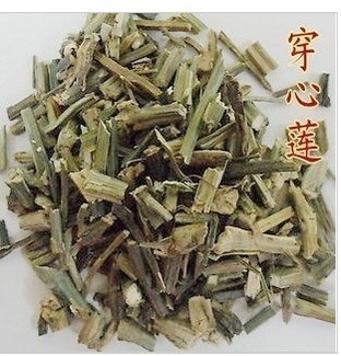 中药材 穿心莲 一见喜/苦胆草/金香草/苦草/印度草 500g