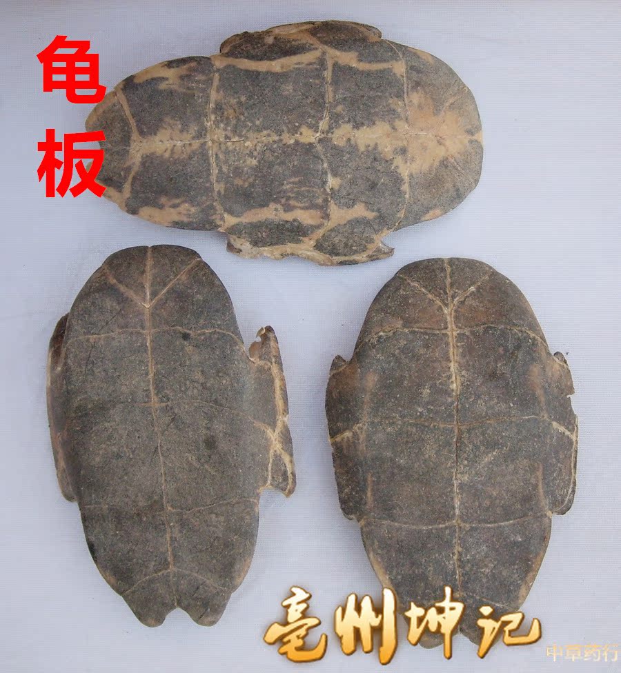 龟板 龟甲 乌龟甲 败龟板 乌龟下甲 50克 亳州坤记中药材抓药