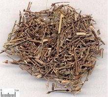 中药材批 发龙葵草天茄子黑天天苦葵 野辣椒 黑茄子清热解 毒利水
