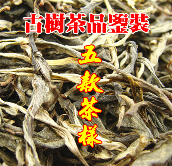 茶样班章昔归冰岛易武古树茶纯料云南普洱茶生茶春茶叶散茶饼砖茶