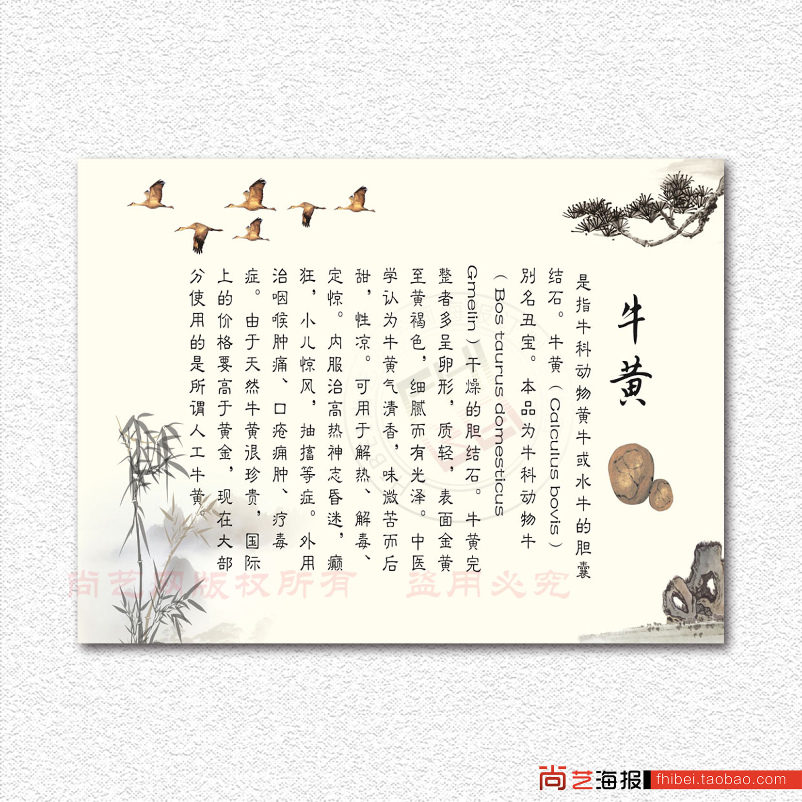 中医养生馆海报挂图美容院保健宣传画文化壁画墙纸油画布图4牛黄