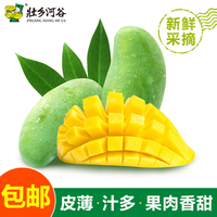 买我网|【送火龙果】广西小桂七芒果青芒新鲜特产2斤装包邮青芒壮乡河谷