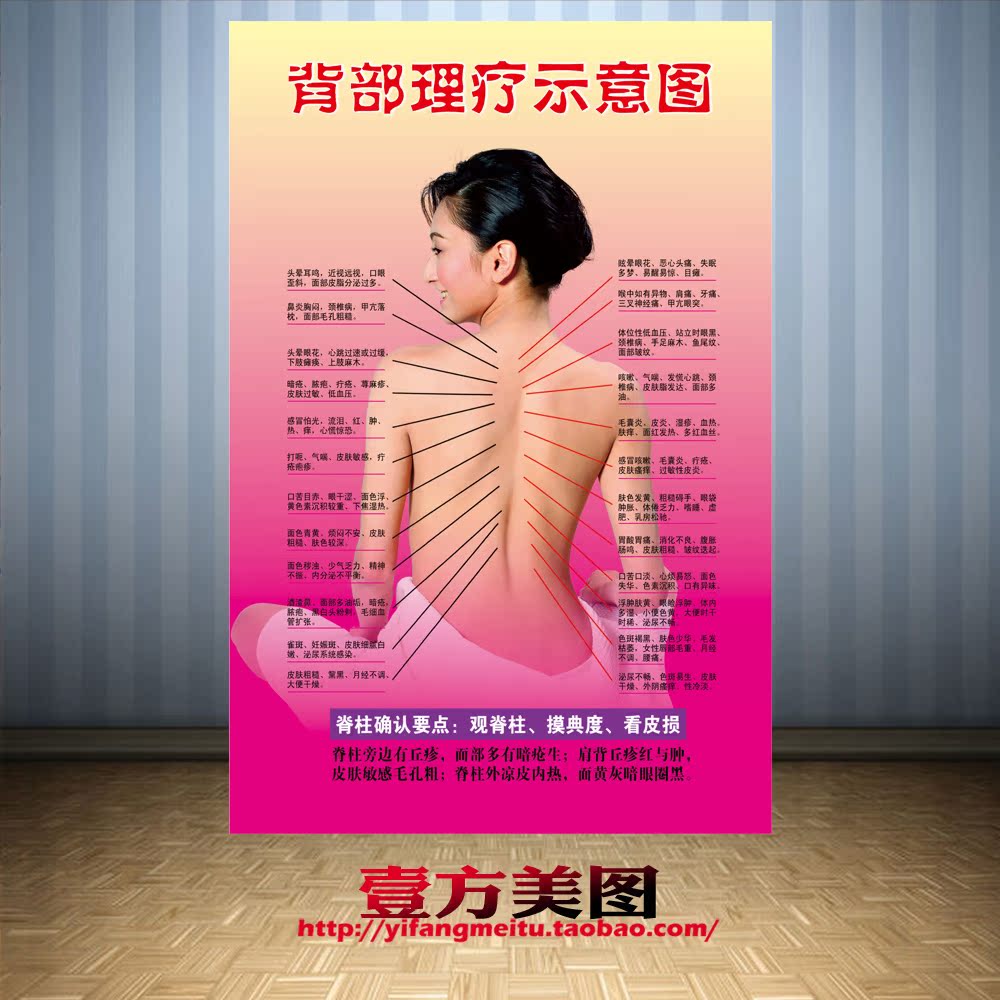 中医经络美容养生脊椎展板宣传画海报图片挂图订制背部理疗示意图