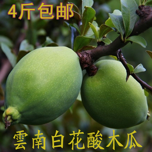 4ϴˮ׻ľľľ