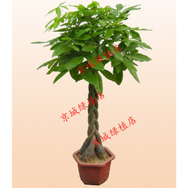 [京开五金建材城]评价 京开方盛五金建材城怎么