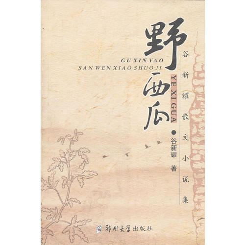 6库：野西瓜谷新耀.9787564500269郑州大学出版社