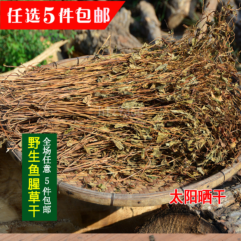 任5件包邮 干鱼腥草干新鲜野生鱼腥草带根晒干臭草纯天然折耳凉茶
