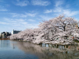 [订机票最便宜的网站]评价 订机票什么网站便宜