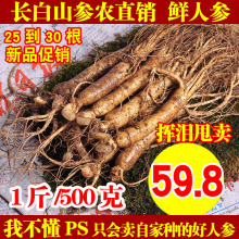 包邮 吉林新鲜人参带土东北人参 人参长白山泡酒人参野山参500克