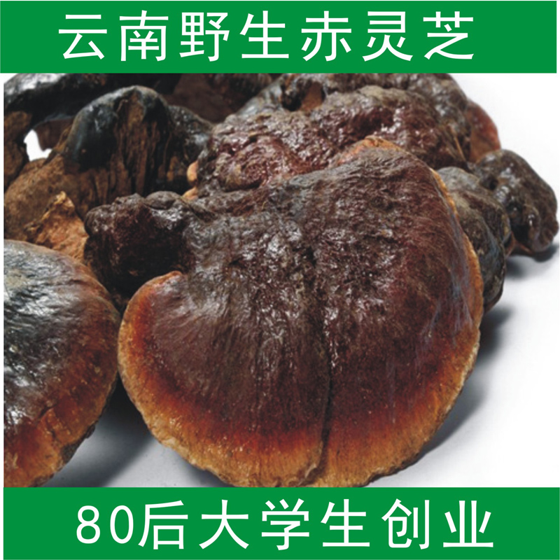 【天天特价】赤芝  野生灵芝 野生赤灵芝 5-8CM 250克可代切片