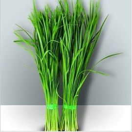 推荐最新壮阳的国药准字药品 炒作国药准字药