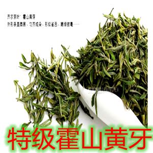 2016新茶霍山黄芽明前 春茶茶叶 手工制作安徽绿茶袋装 特价 包邮