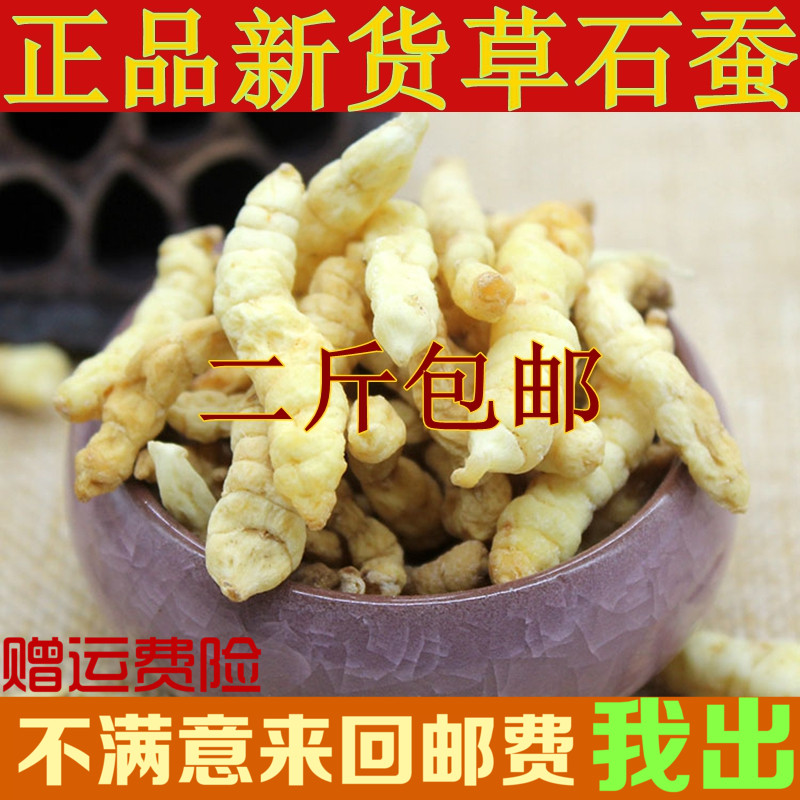 中药材批发 草石蚕 500克 地蚕参 土冬虫草 泽兰根 白虫草 地虫