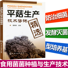 高产量高效种植 菌类蔬菜种植技术书籍 平菇种植书 平菇生产技术咨询精选 平菇栽培技术大全书籍 食用菌菌种生产技术 全新正版