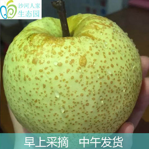 【新鲜梨 水果】最新淘宝网新鲜梨 水果优惠信
