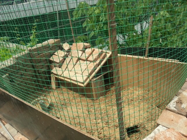 铁丝网围栏养殖网家用拦鸡网绿色焊接隔离网围菜园养羊鸡舍硬栅栏
