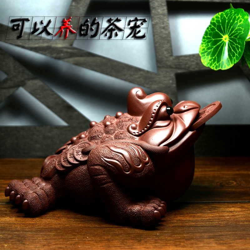 正品[独宠娇夫 书包网]独宠娇夫女尊书包网评测