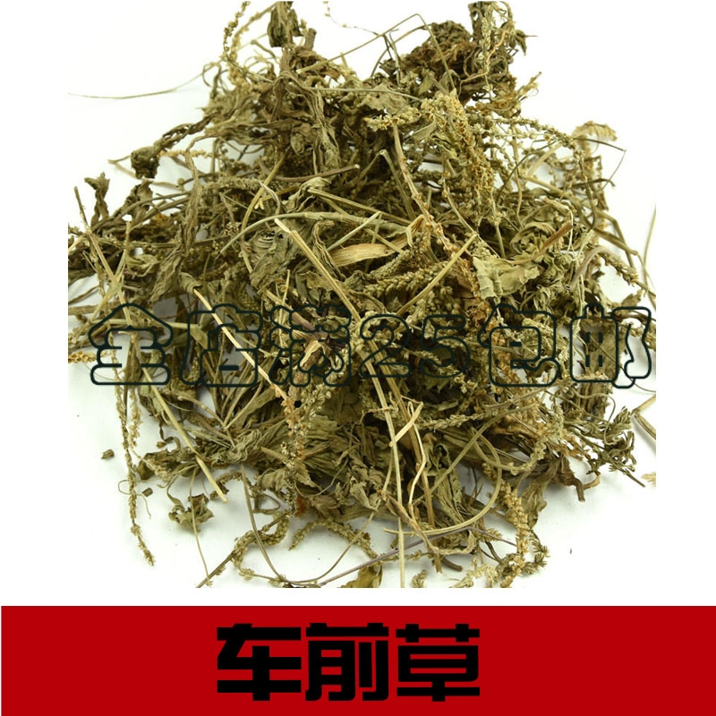中草药材 车前草 车前草茶 车前草干 野生车前草   500g 促销