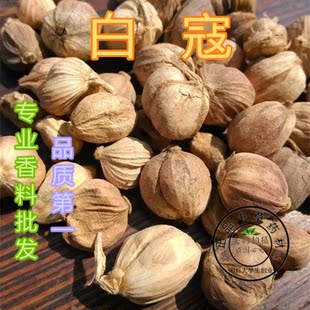 白寇仁50克中药材纯天然调味料香料无熏正品白扣白叩白豆蔻卤水料