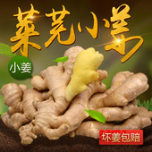 5斤 莱芜特产 辣度高姜丝少 莱芜小黄姜生姜 新鲜小姜