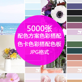 室内设计方案软装 色彩颜色卡搭配网页设计师搭配色板素材 舞墨堂