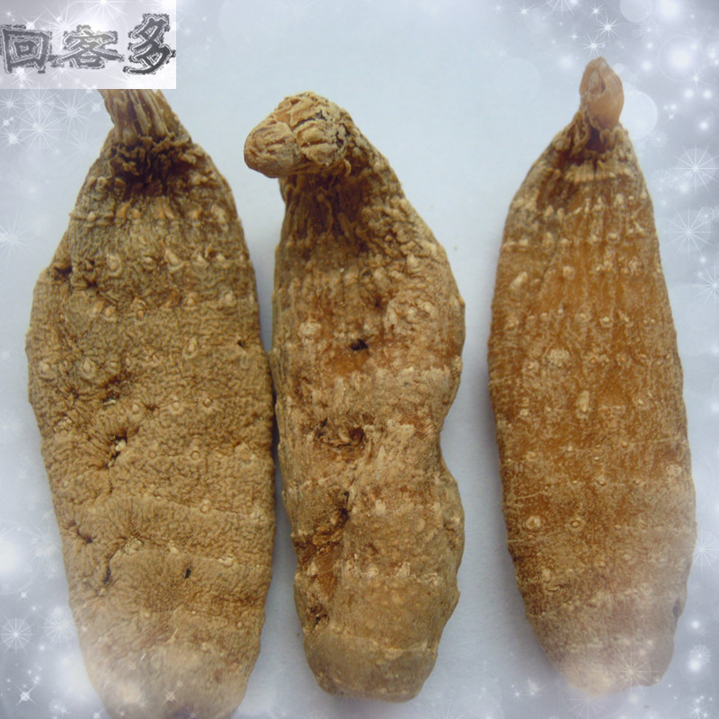【回客多】长白山野生天麻 不熏硫林下麻 天麻正品每份50克