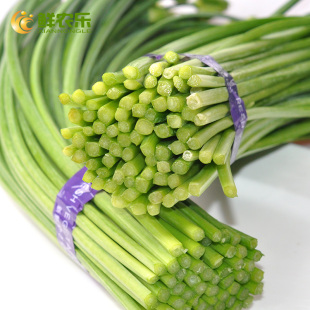 【鲜农乐】北京农家韭苔500g 六环内自主配送 韭菜苔新鲜 蔬菜