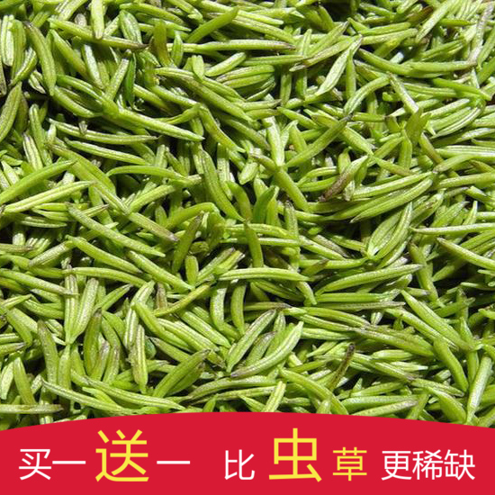2016年张家界野生杜仲雄花茶买一送一纯针形花蕊正品杜仲茶