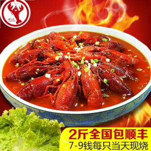 正宗盱眙十三香小龙虾鲜活现烧熟食小龙虾麻辣小龙虾调料7-9钱只